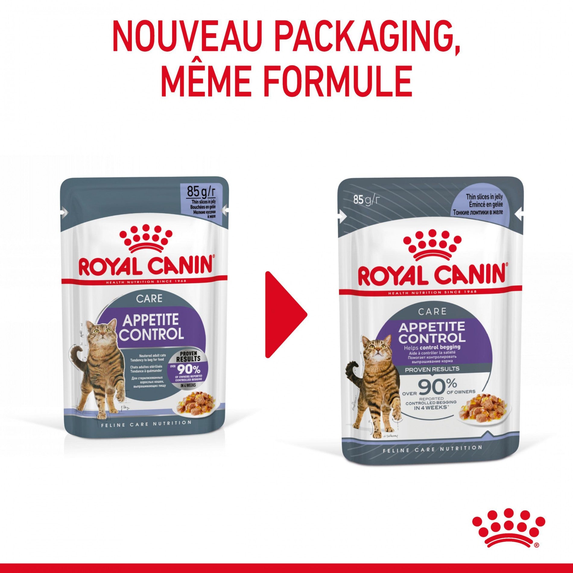 ROYAL CANIN Appetite Control en Gelée – Pâtée pour chat