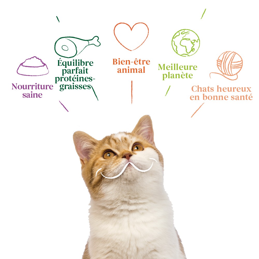 Yarrah bouchées bio sans céréales - Lot 16 x 100g