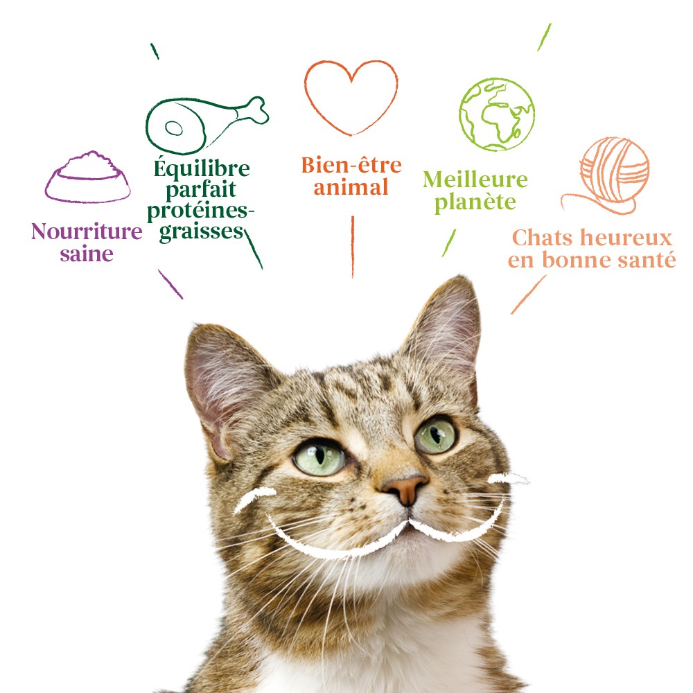 Yarrah pâtée bio sans céréales - Lot 16 x 100g