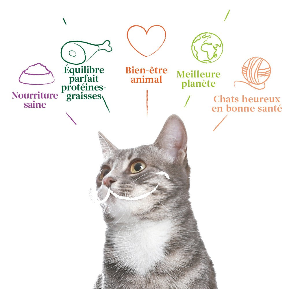 Yarrah pâtée bio sans céréales - Lot 16 x 100g