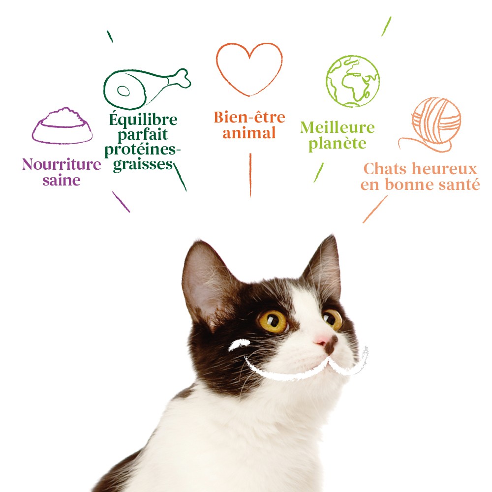 Yarrah pâtée bio sans céréales - Lot 16 x 100g