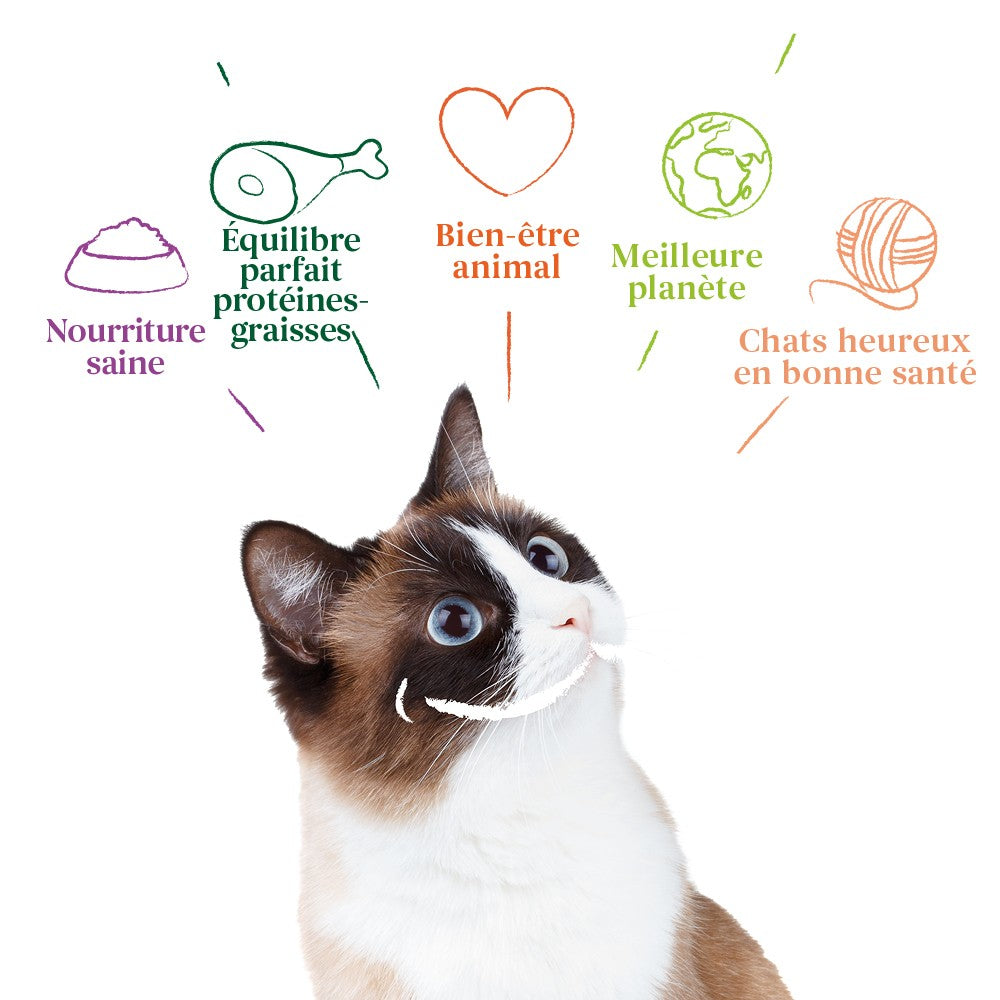 Yarrah pâtées bio - Lot 12 x 400g