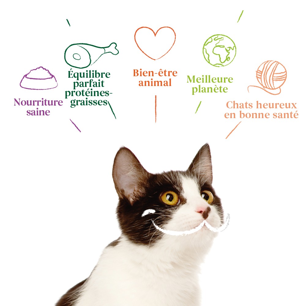 Yarrah pâtées bio - Lot 8 x 100g