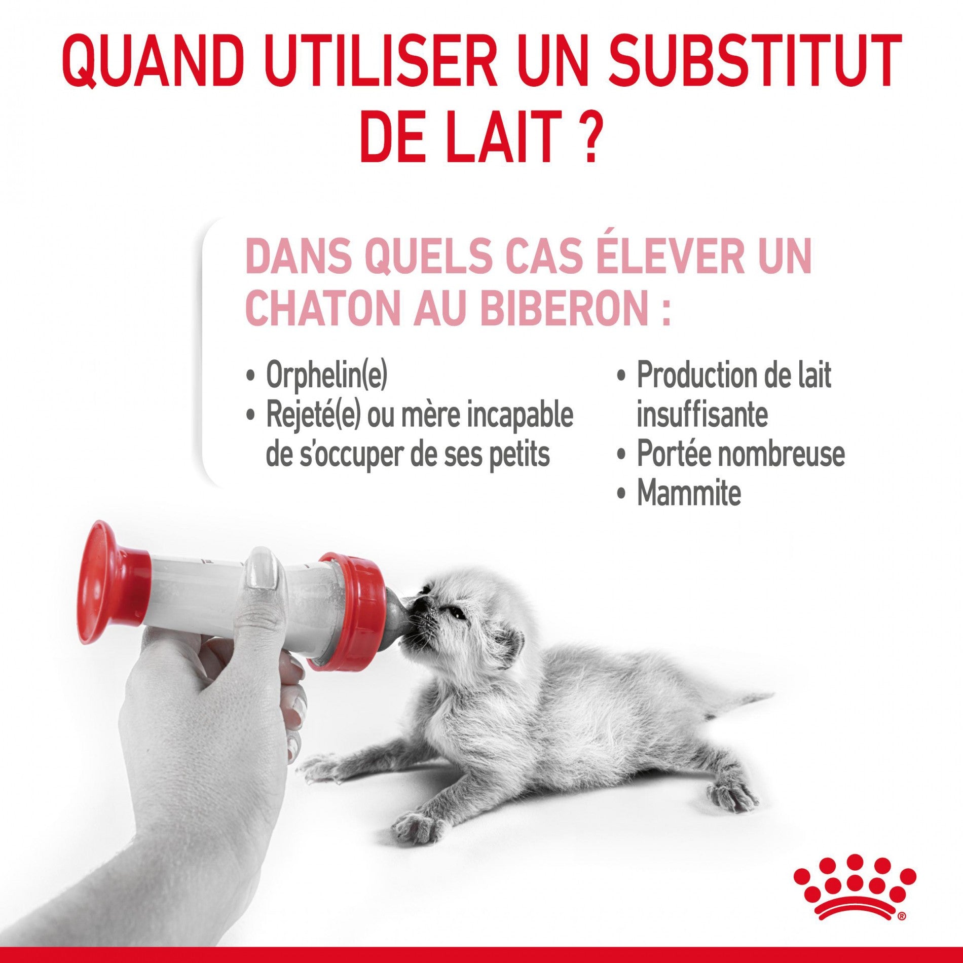 ROYAL CANIN Babycat Milk - Lait maternisé pour chaton