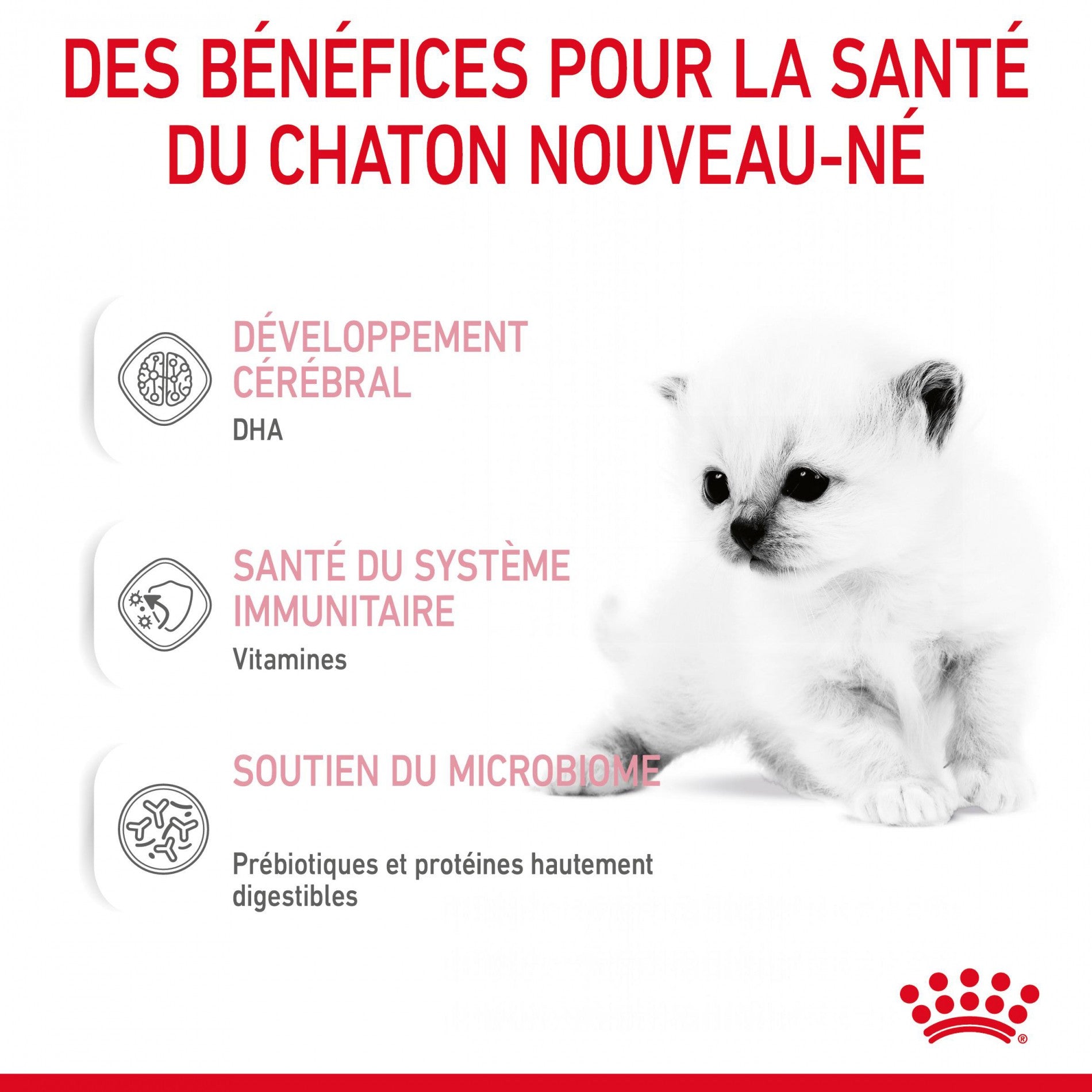 ROYAL CANIN Babycat Milk - Lait maternisé pour chaton