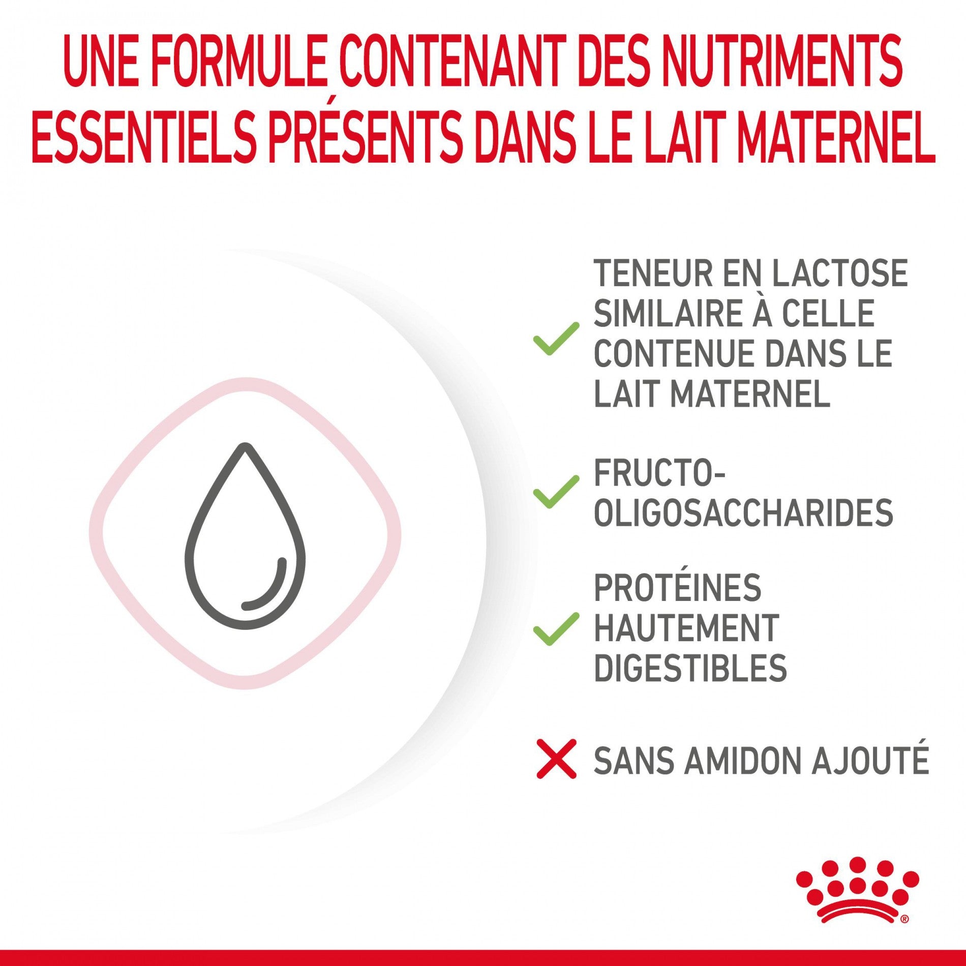 ROYAL CANIN Babycat Milk - Lait maternisé pour chaton
