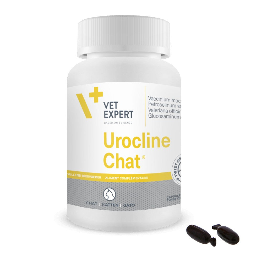 Urocline Chat