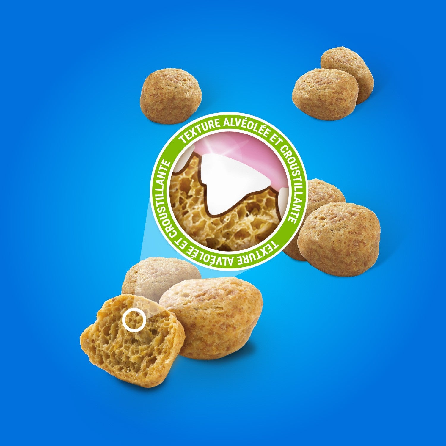 Bouchées Dentalife au saumon - Friandises bucco-dentaires pour chat