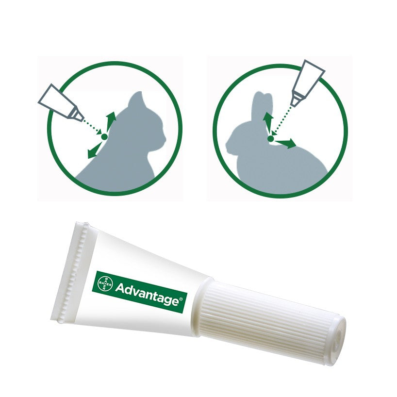 Pipettes Advantage chat