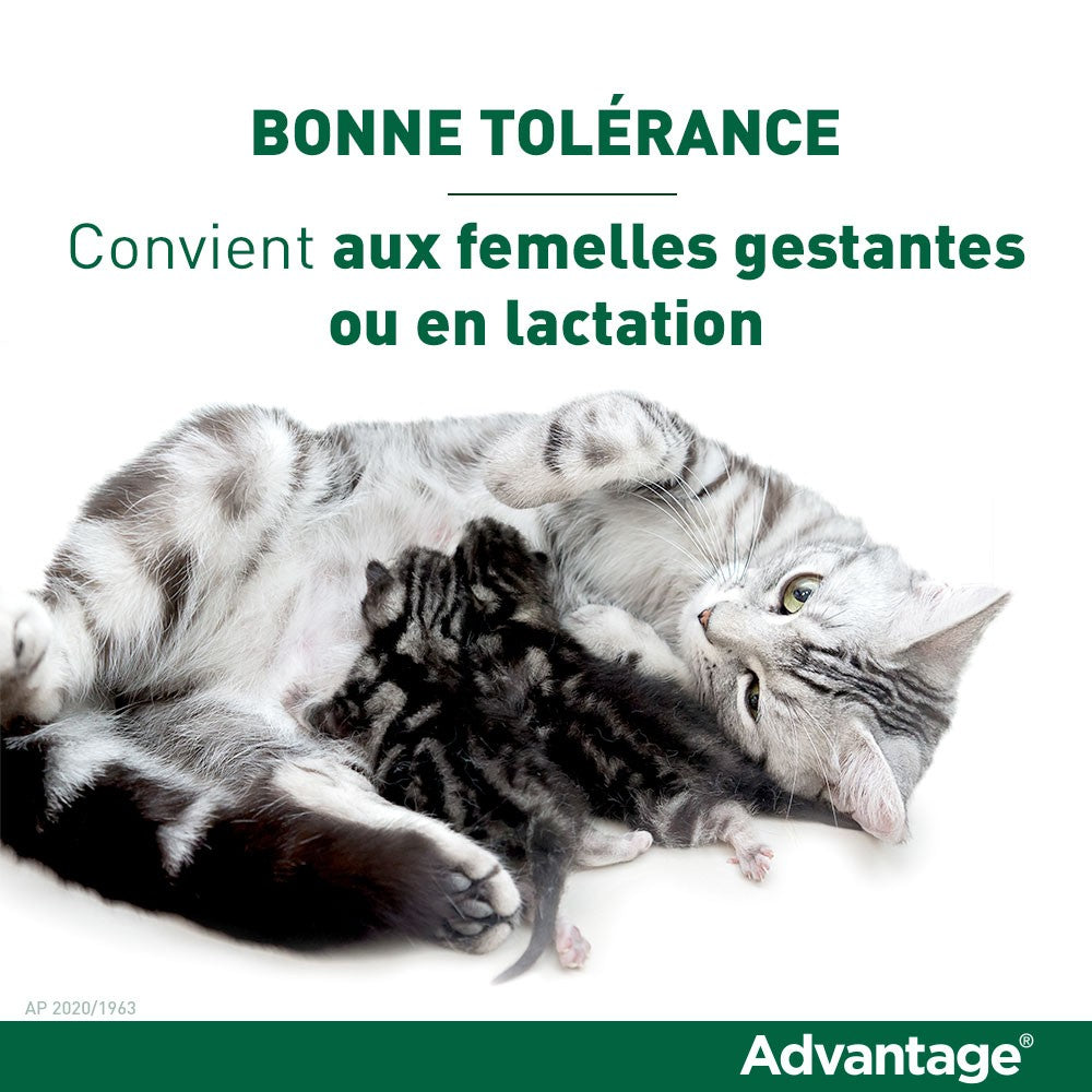 Pipettes Advantage chat