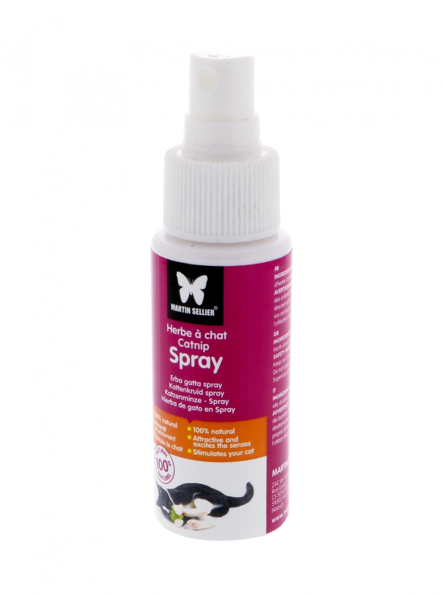 Herbe à chat Catnip