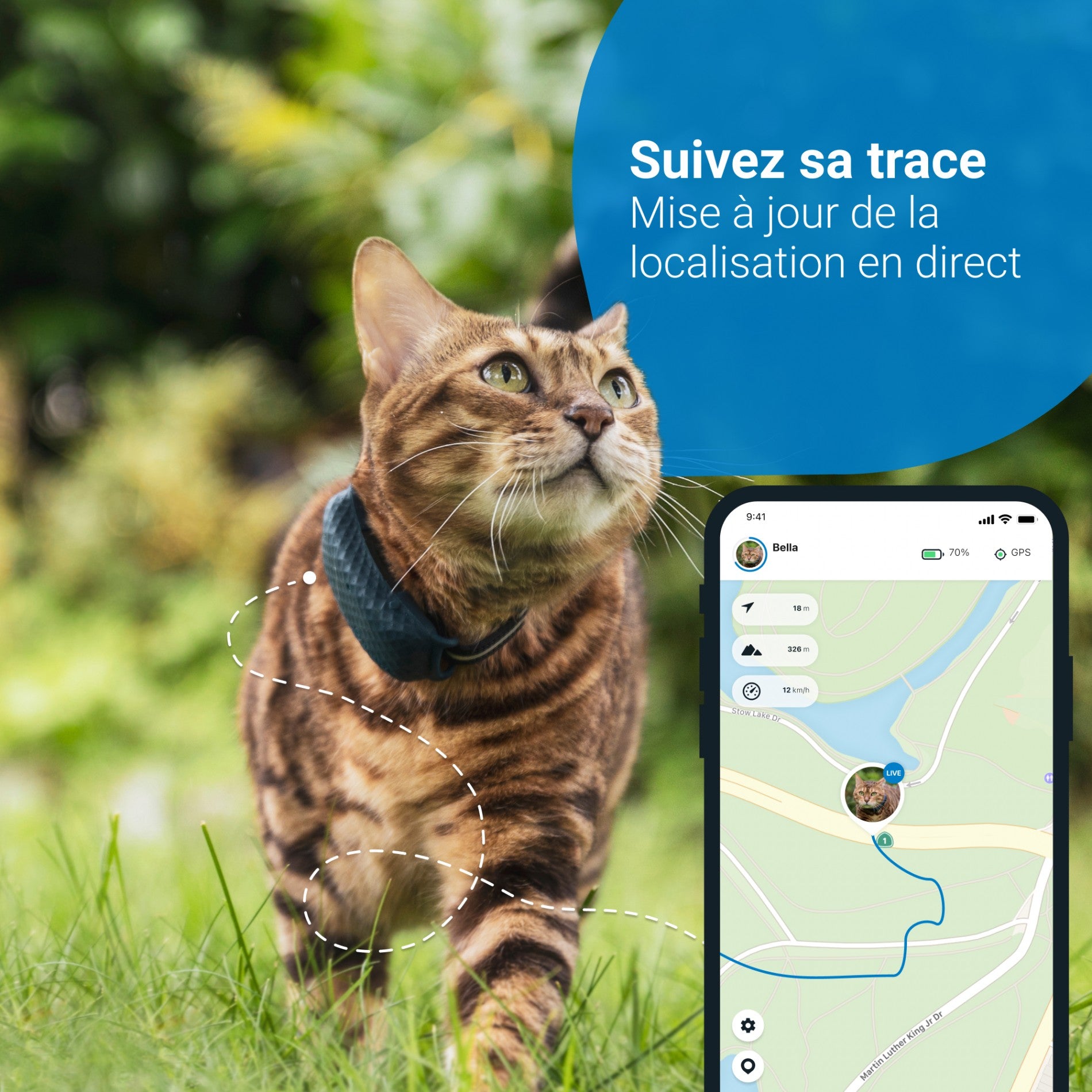 Traceur GPS pour chats