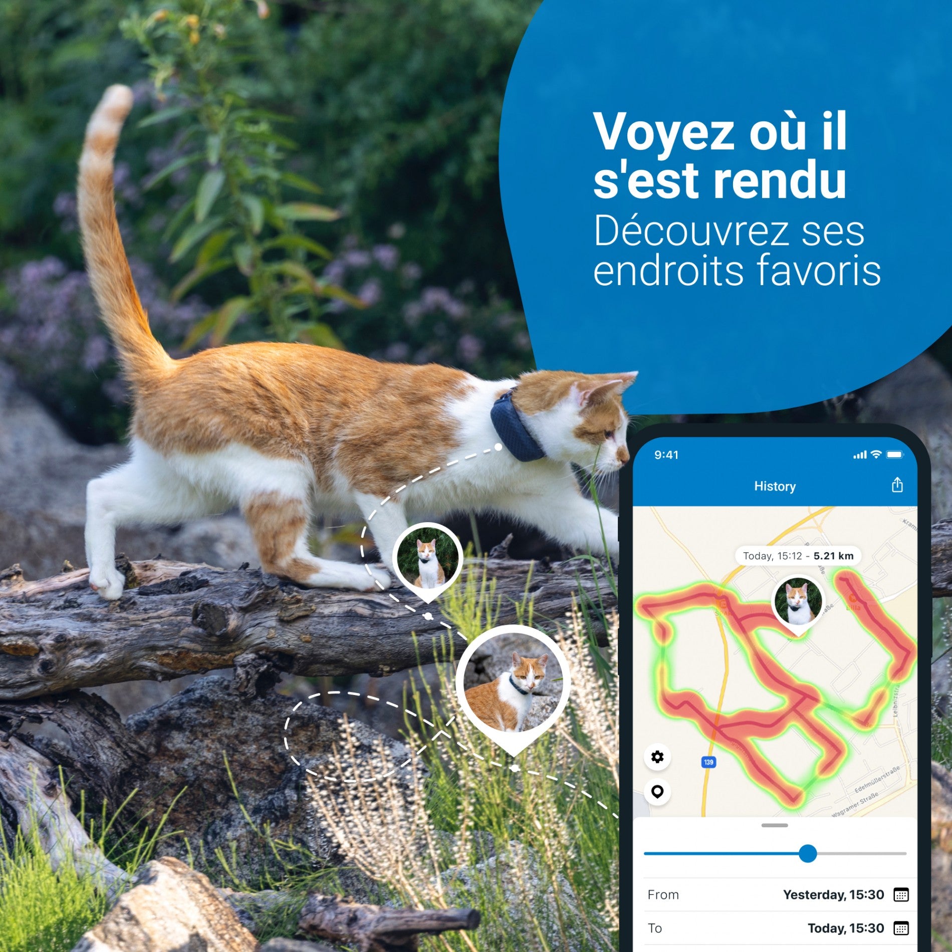 Traceur GPS pour chats