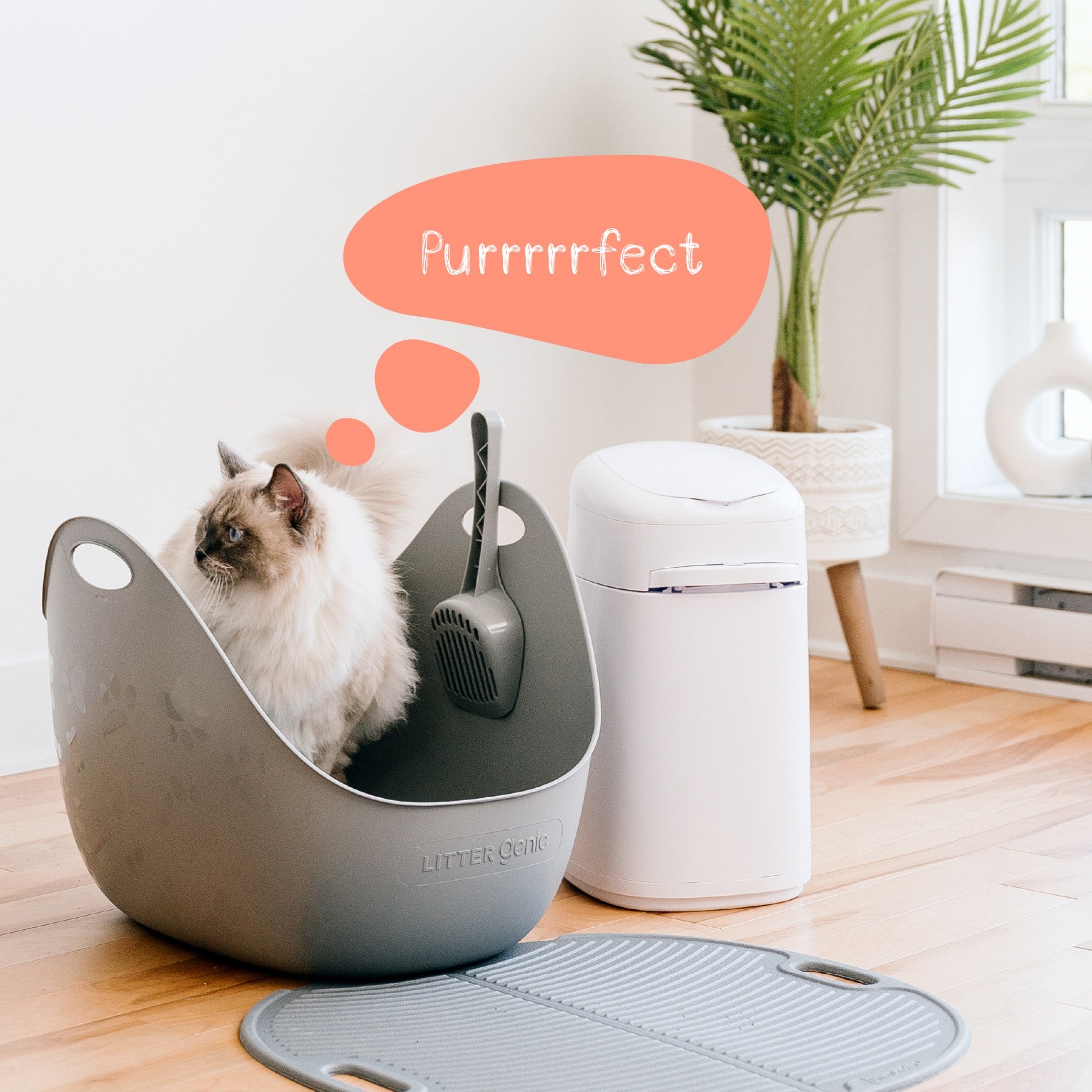 Bac à litière Litter Genie avec pelle - Gris