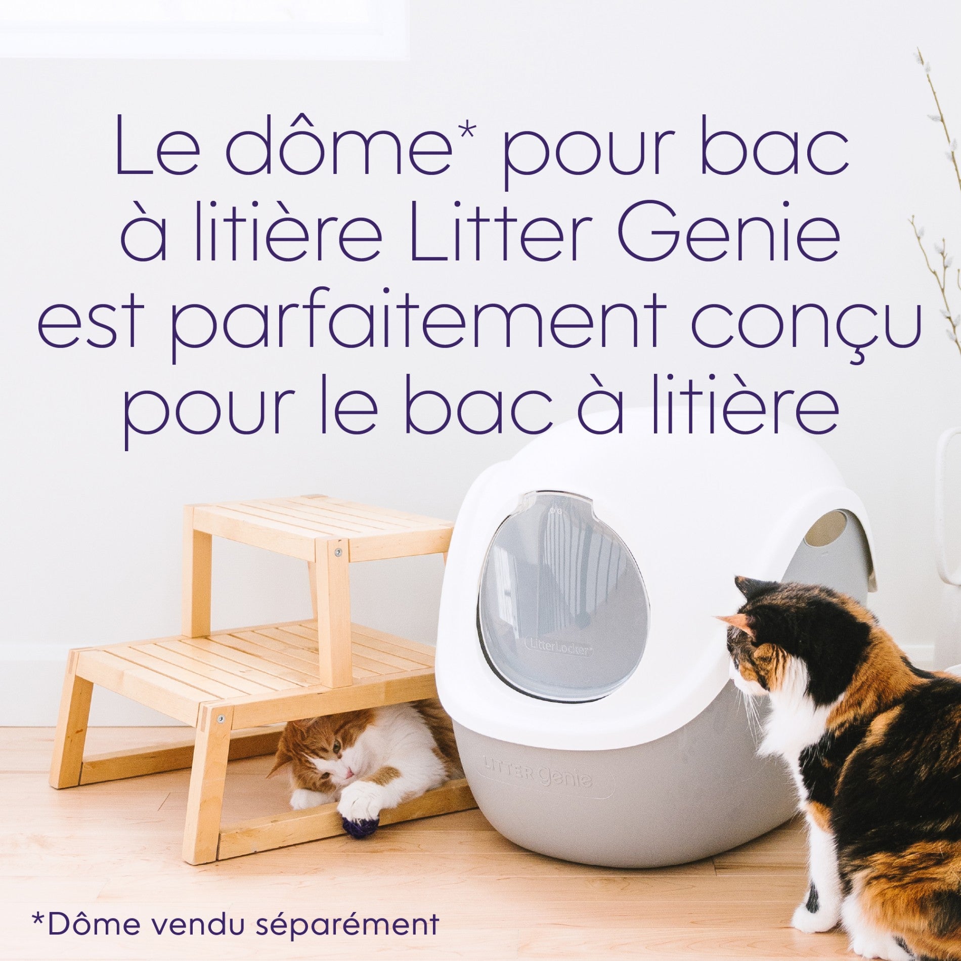 Bac à litière Litter Genie avec pelle - Gris