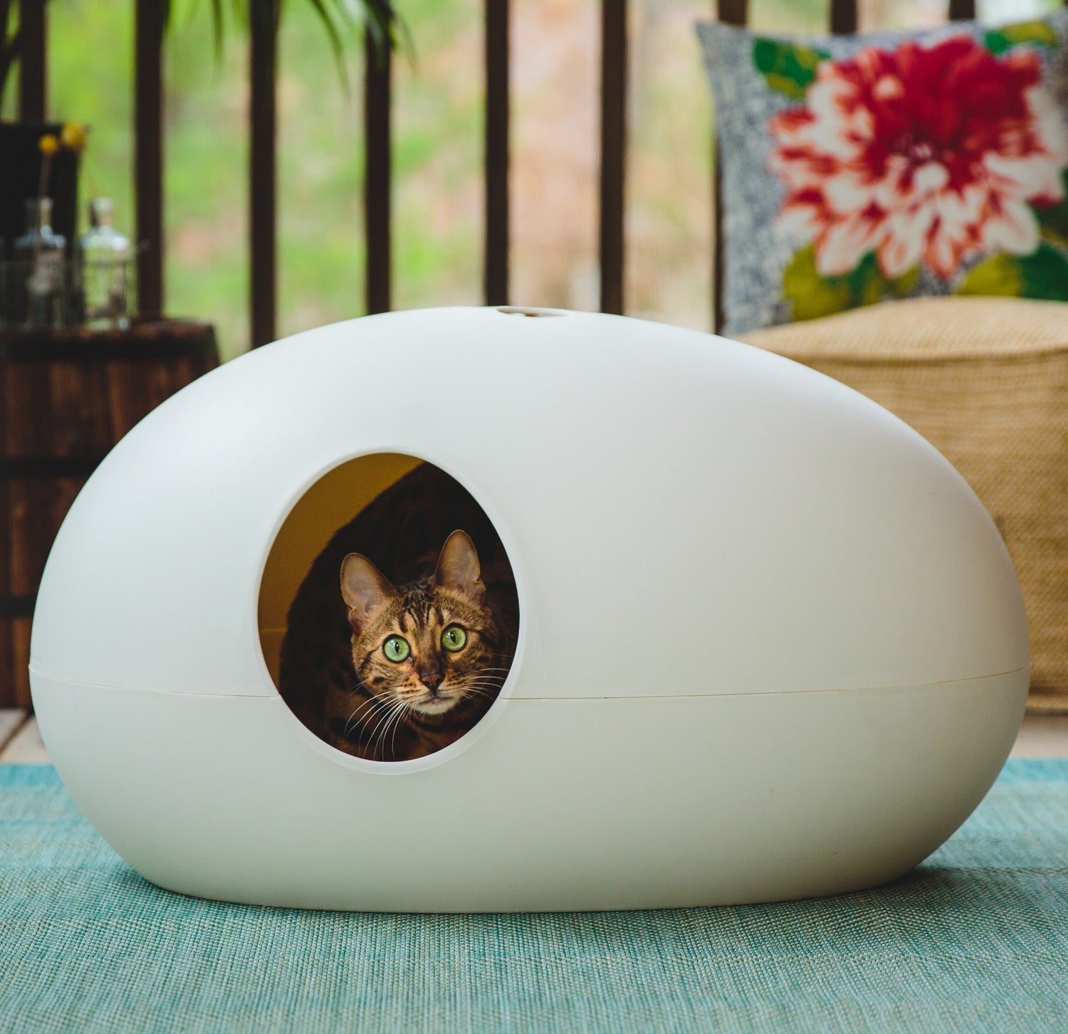 Maison de toilette Poopoopeedo