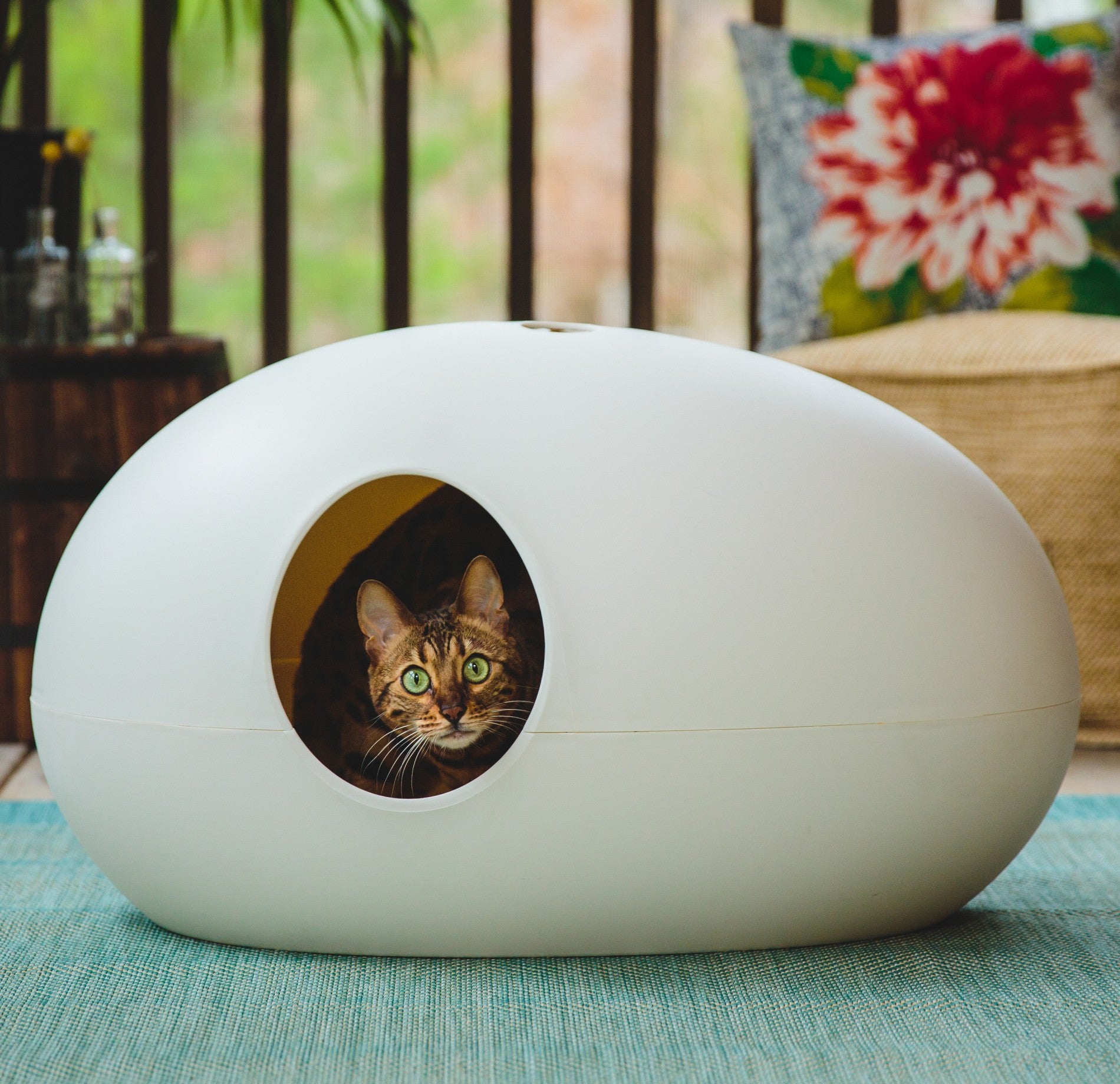 Maison de toilette Poopoopeedo