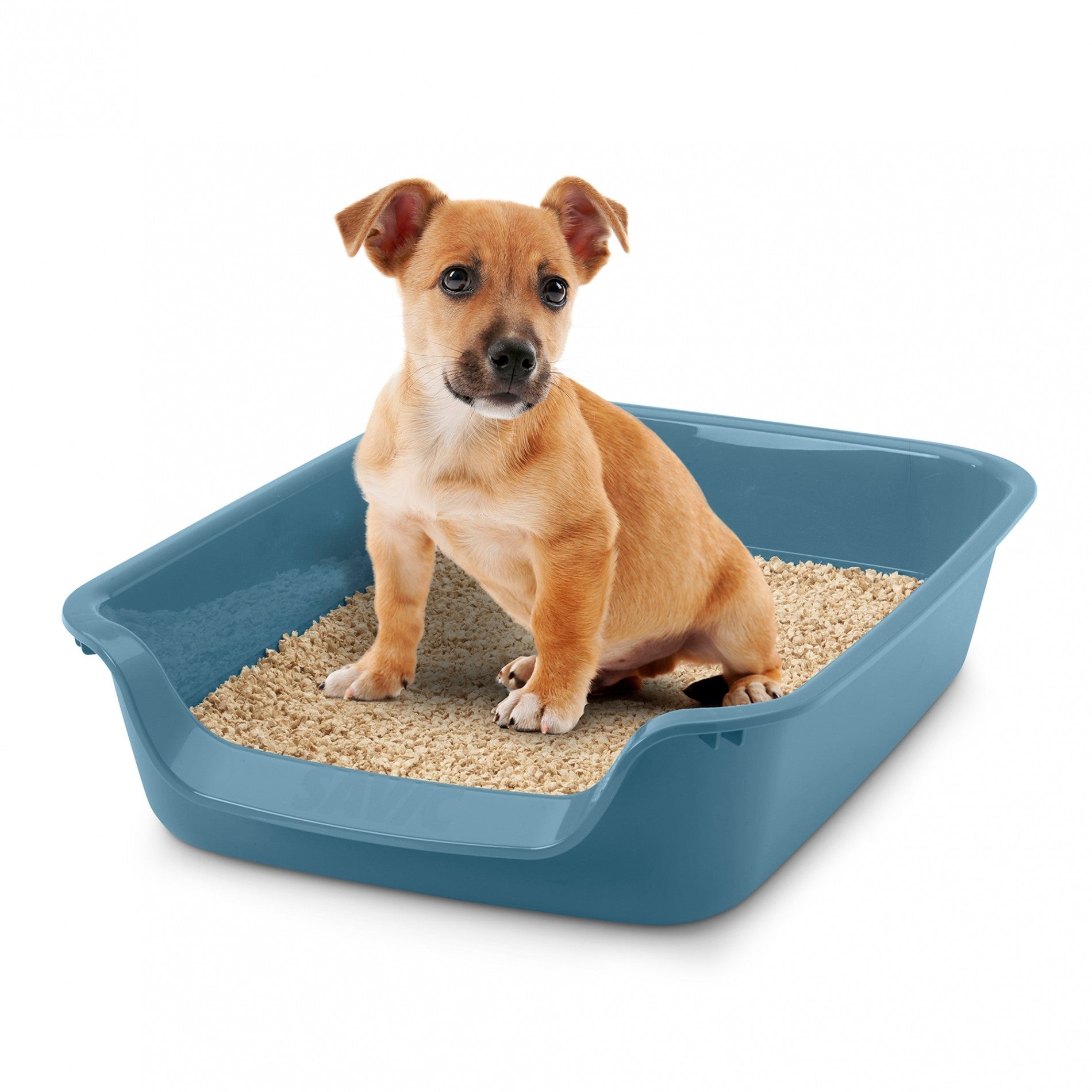 Bac à litière Junior Toilet