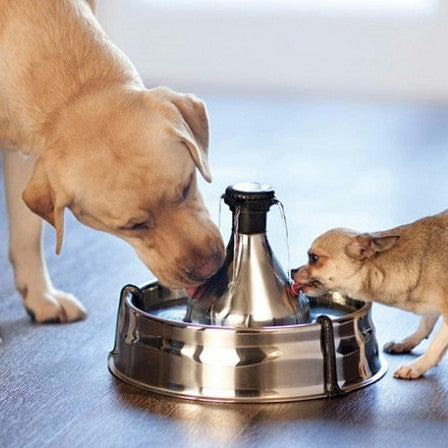 Fontaine Drinkwell Inox 360° 3.8L