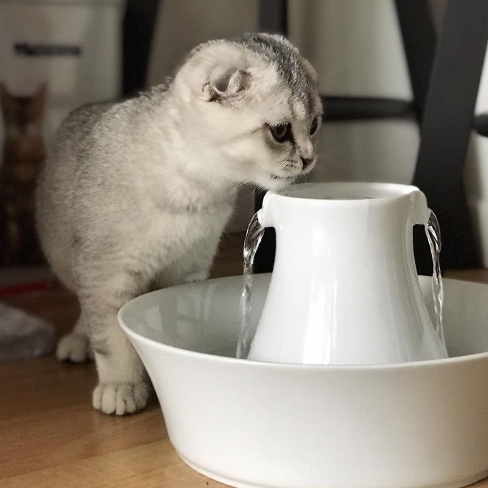 Fontaine Drinkwell Avalon céramique 2L