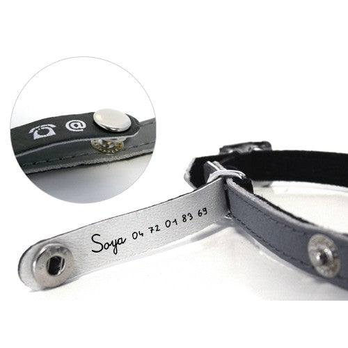 Collier porte-adresse réfléchissant