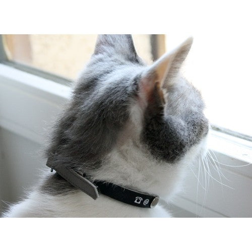 Collier porte-adresse réfléchissant