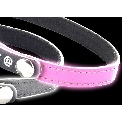 Collier porte-adresse réfléchissant