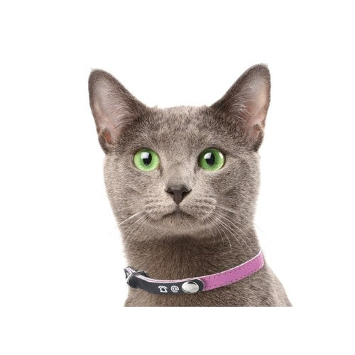 Collier porte-adresse réfléchissant