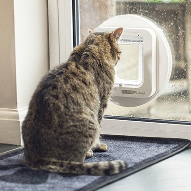 Chatière électronique