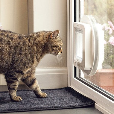 Chatière électronique