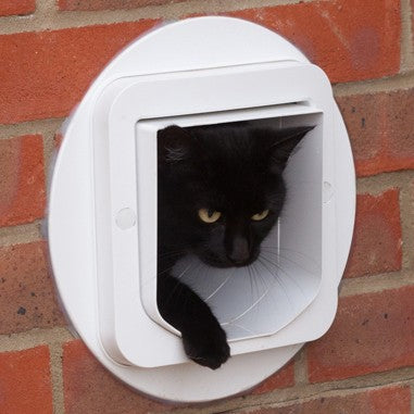 Chatière électronique