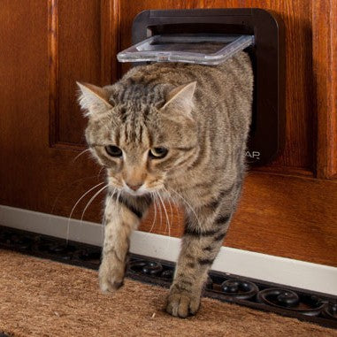 Chatière électronique