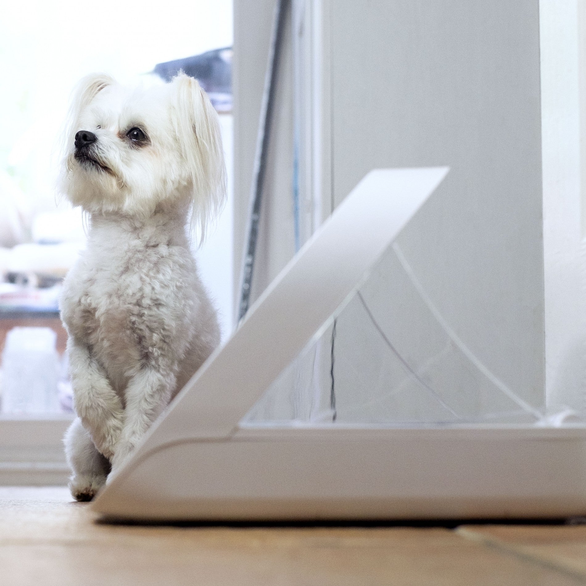 Distributeur électronique SureFeed Connect