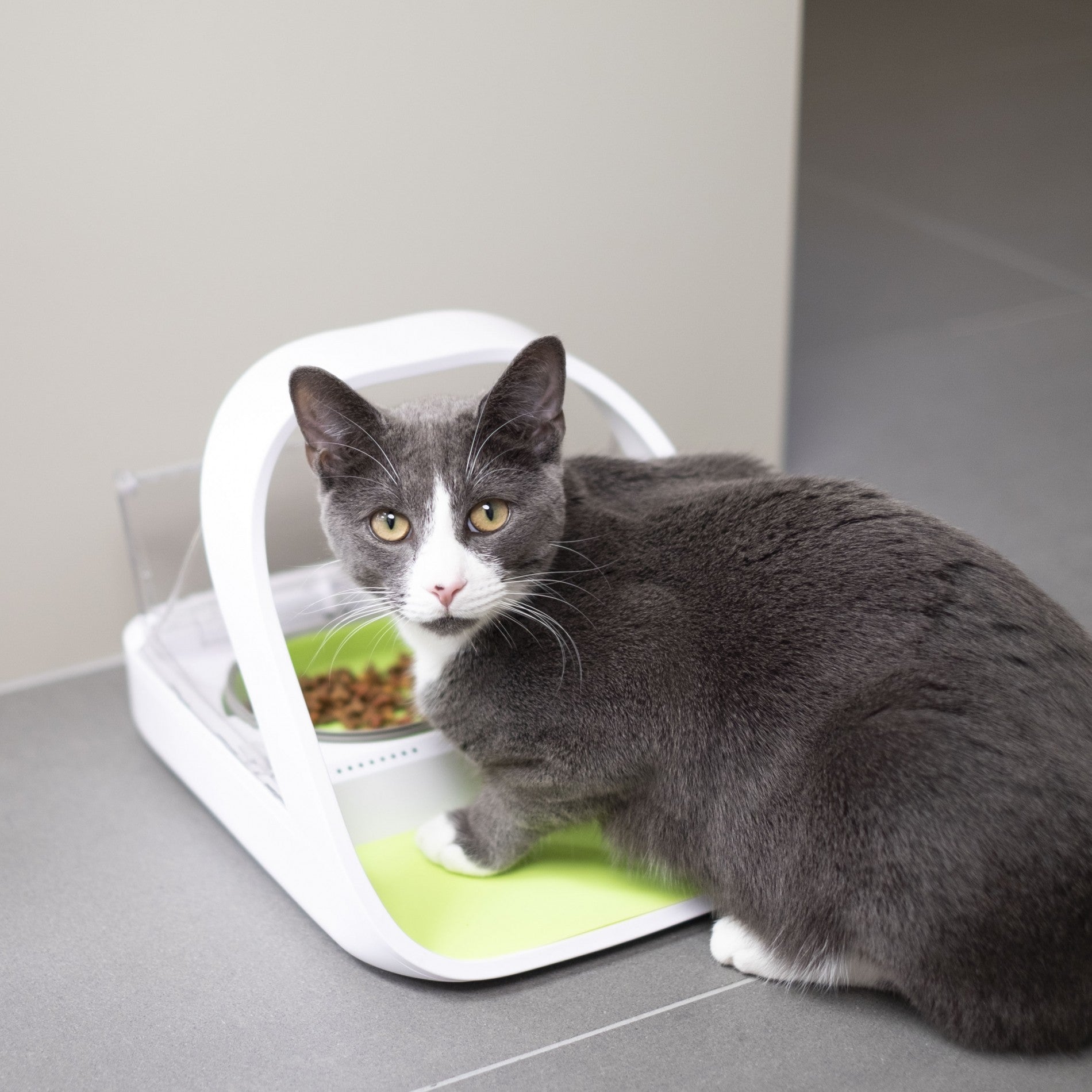 Distributeur électronique SureFeed Connect