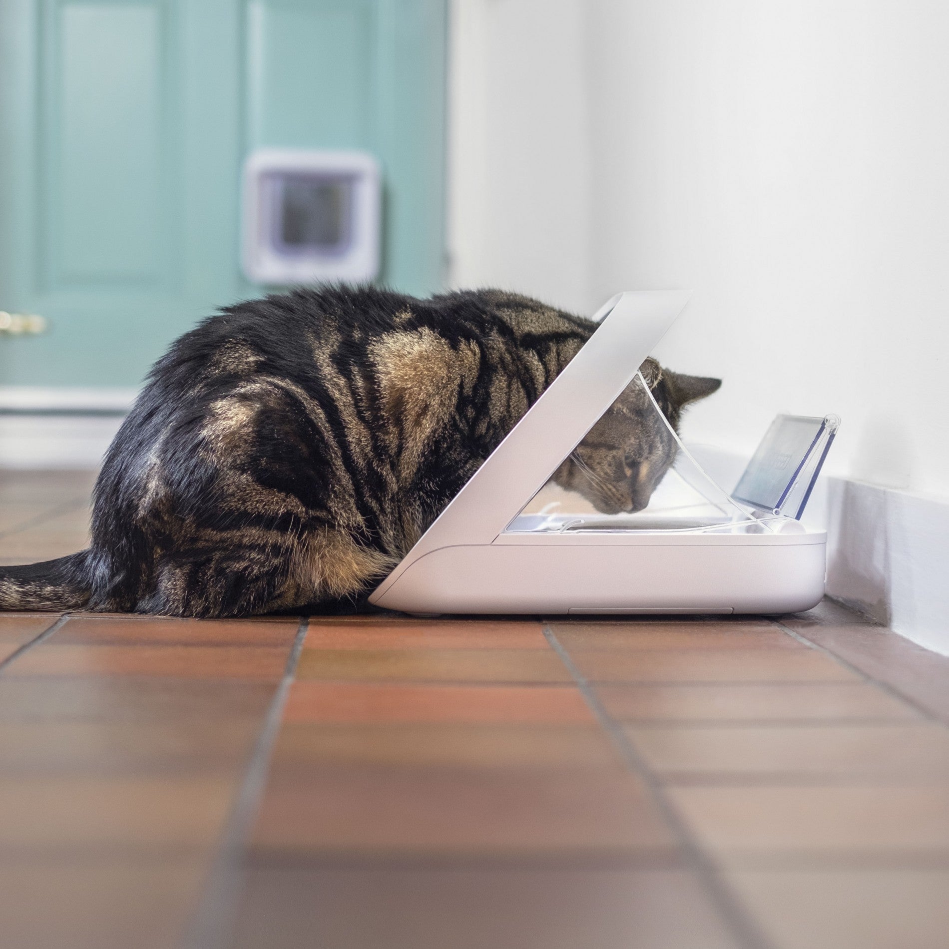 Distributeur électronique SureFeed Connect