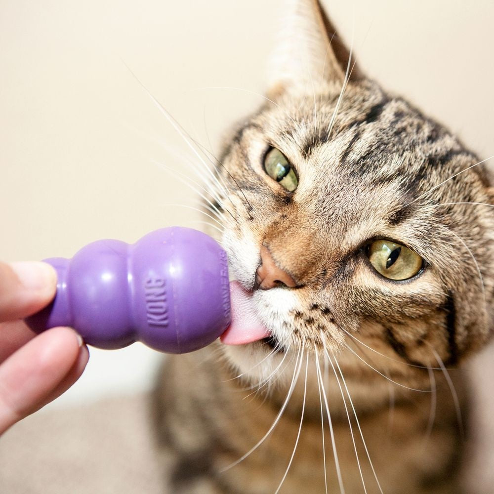 Jouet Kitty KONG pour chat et chaton