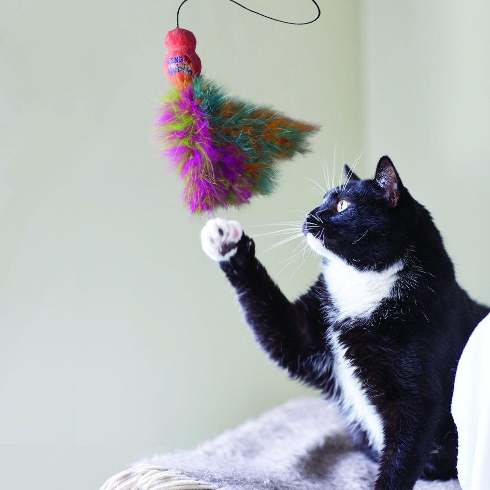 Canne à pêche Wubba Boa Teaser