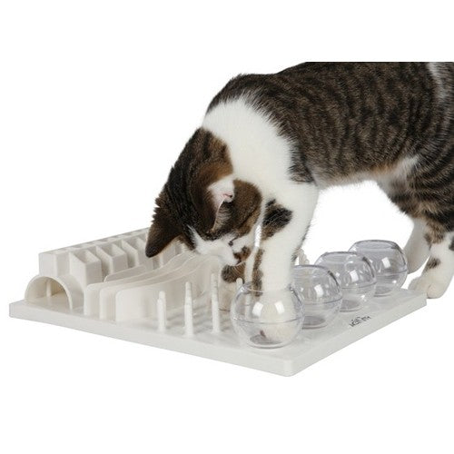 Jouet éducatif Fun Board