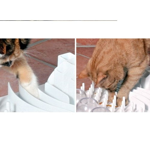 Jouet éducatif Fun Board