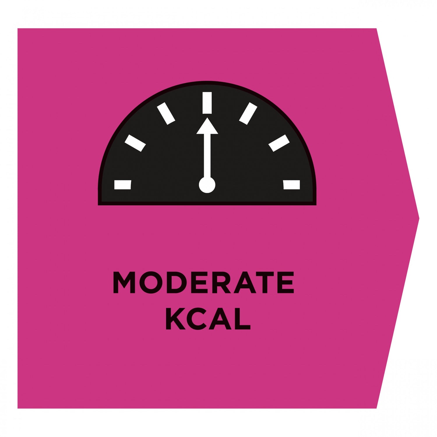 Pro Plan Veterinary Diets UR St/Ox Urinary au Poisson – Croquettes pour chat