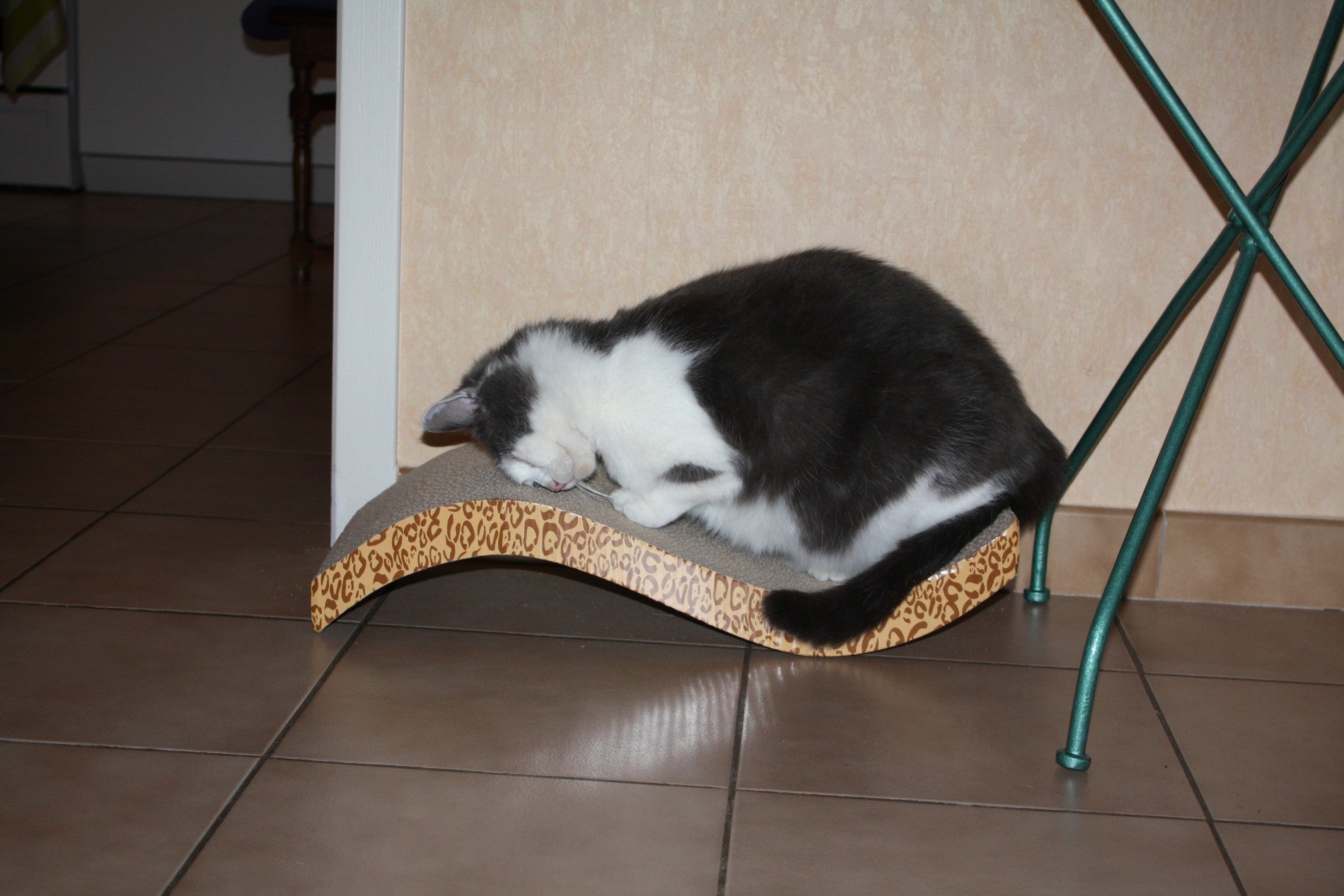 Griffoirs en carton nouvelle génération