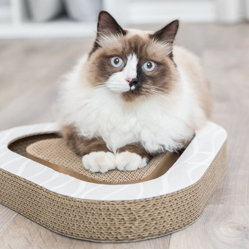 Plaque Griffoir à balles