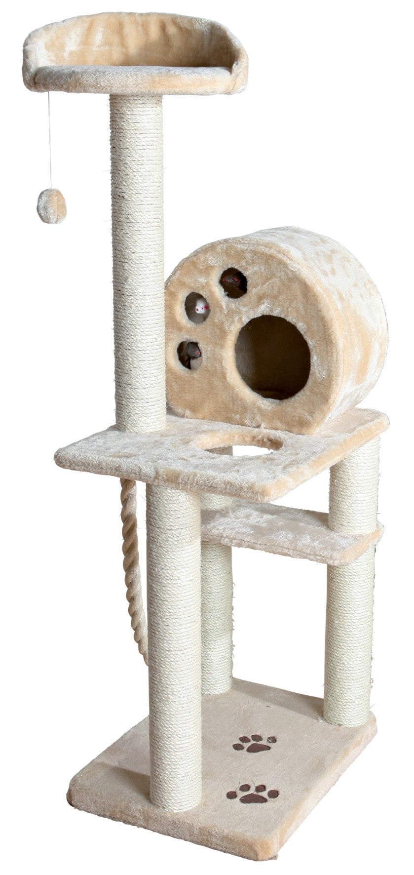 Arbre à chat Salamanca