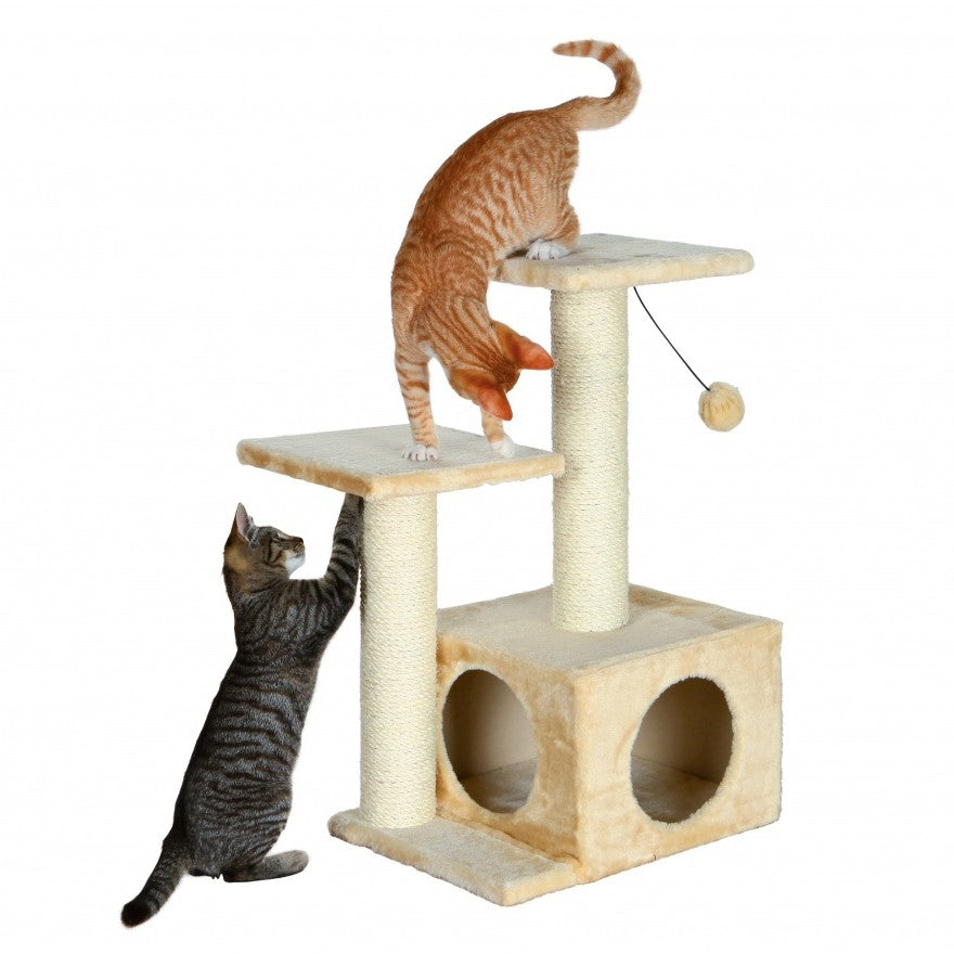 Arbre à chat Valencia