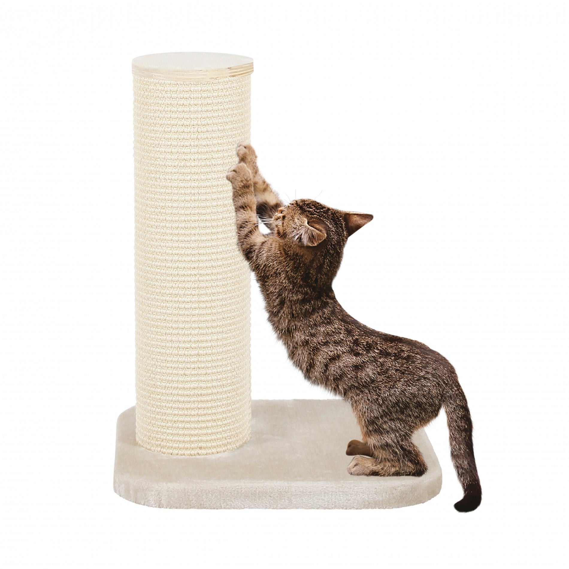 Poteau à griffer City Cat