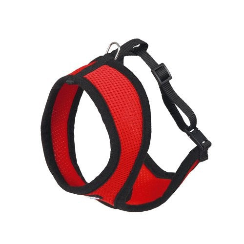 Harnais et laisse Active