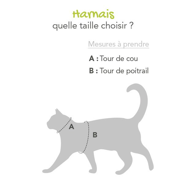 Harnais et laisse Active