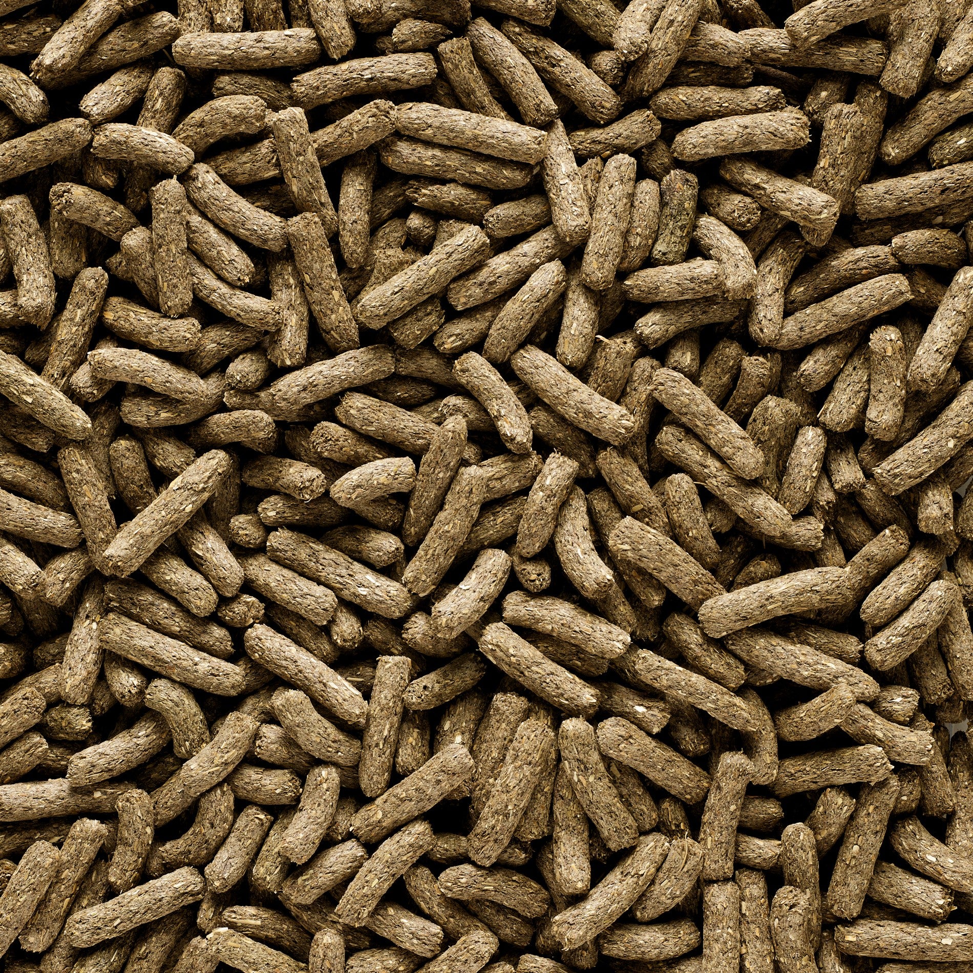 Complete - Cuni Sensitive