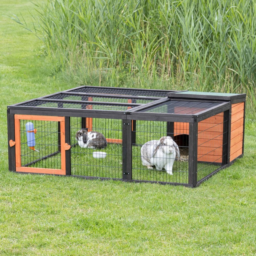 Enclos avec abri et ouvertures