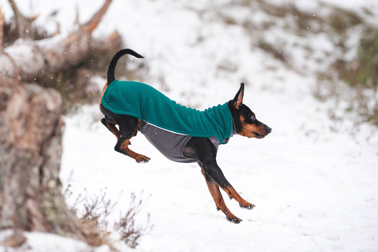 Pomppa Jumppa manteau polaire pour chien Forest